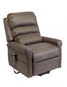 Fauteuil Releveur 2 mot STYLEA